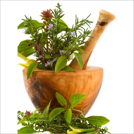 Melissa Phytol Pure Floral Absolute Oil 1